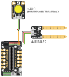 project-image