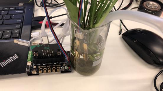 project-image