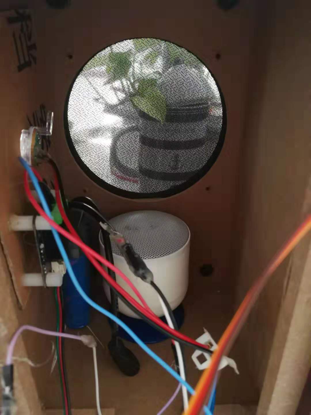 project-image