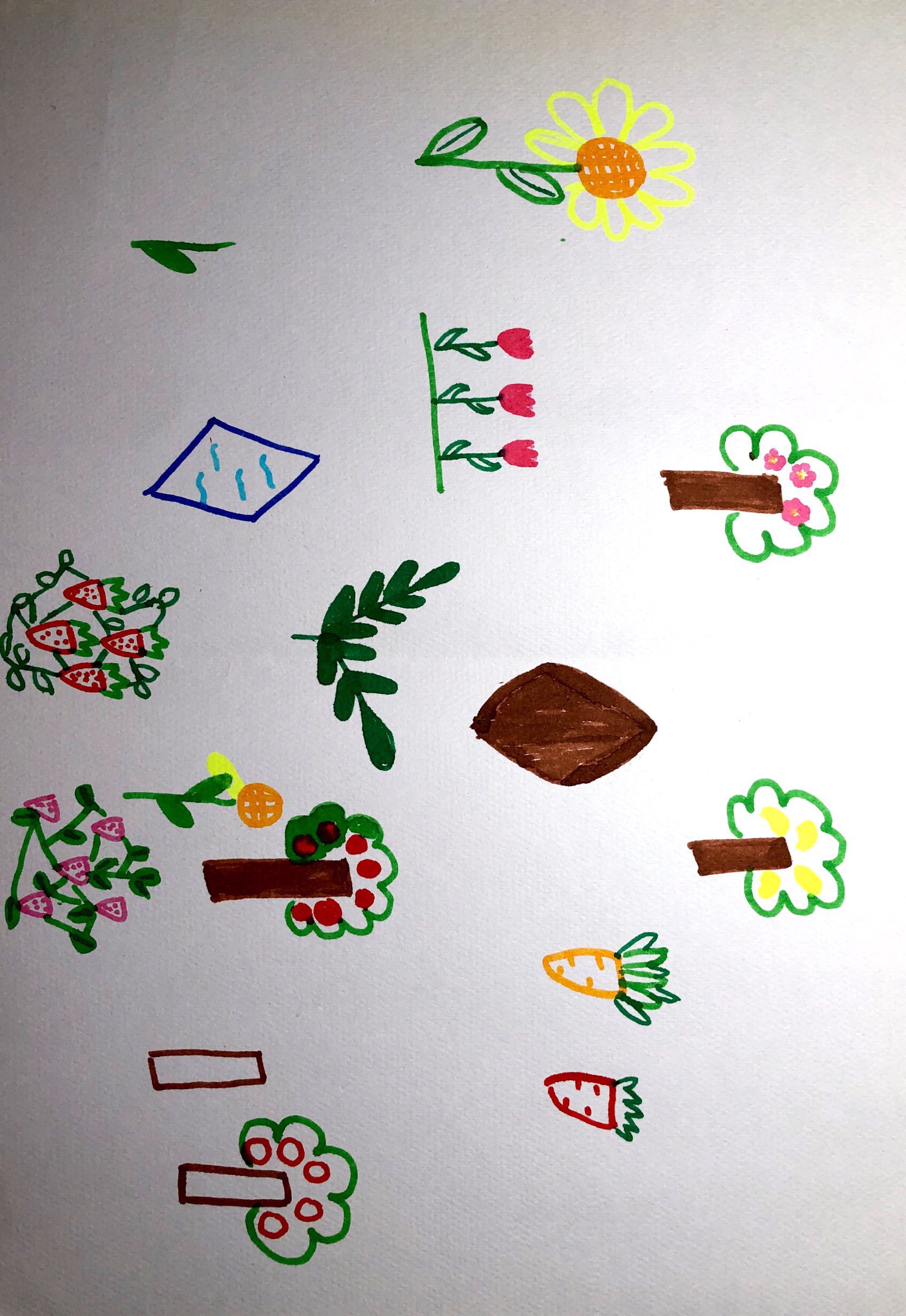 project-image