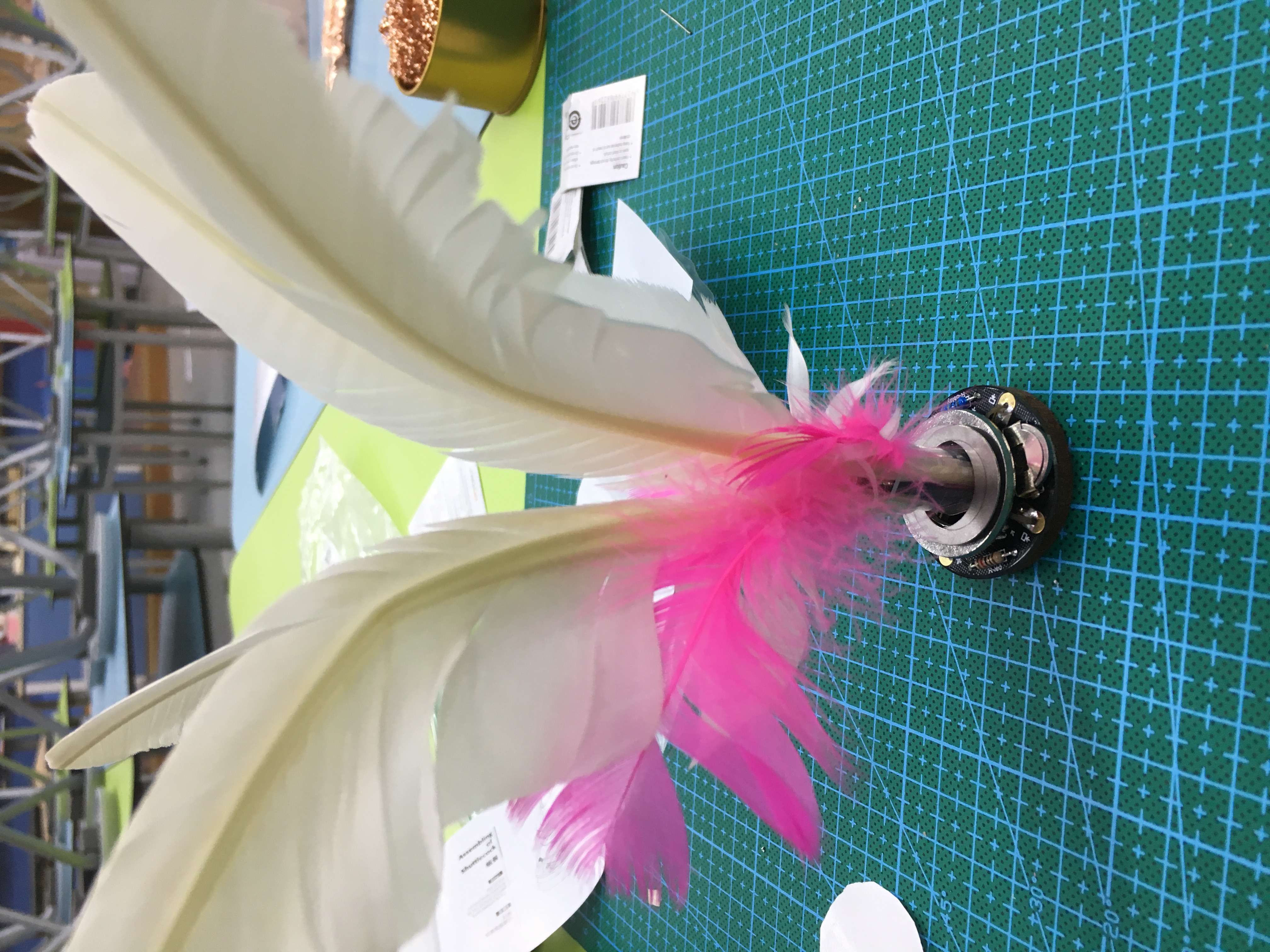project-image