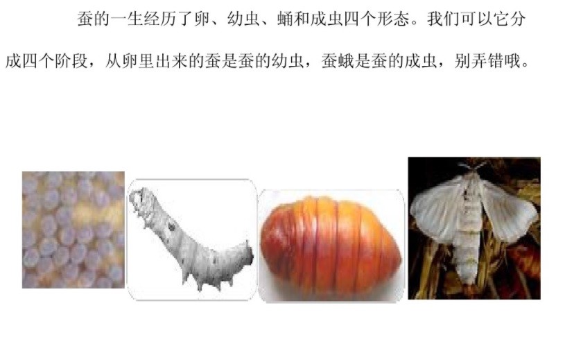project-image