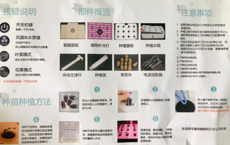 水培番茄实验