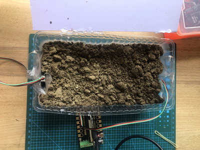 project-image