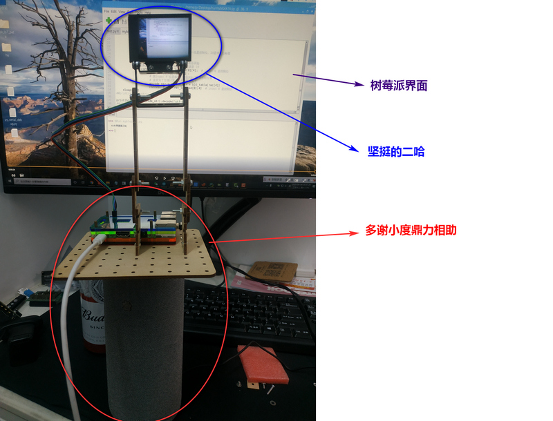 project-image
