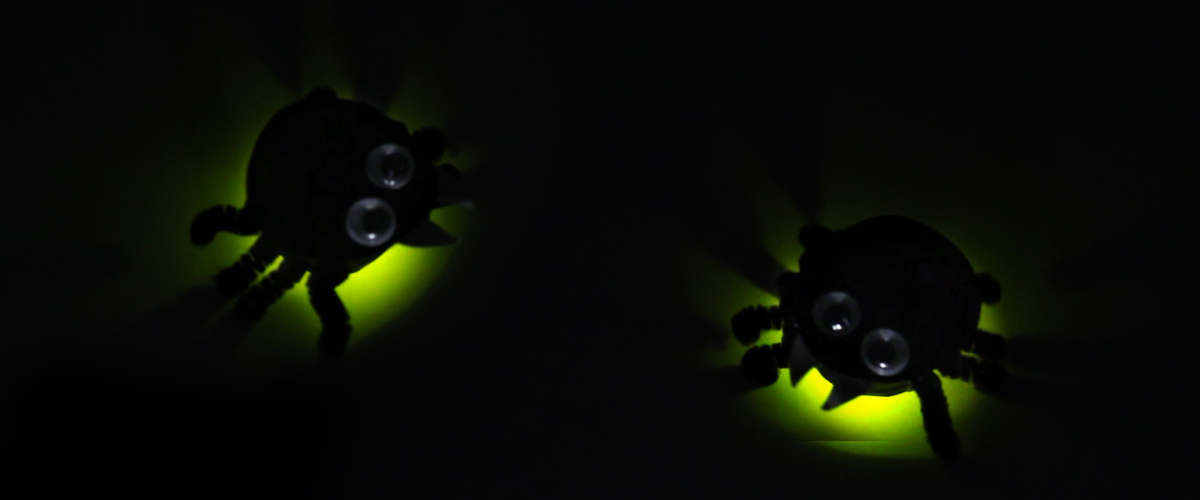 project-image