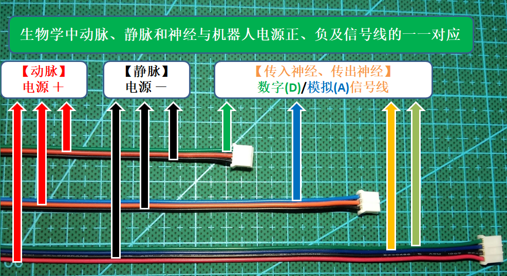 project-image