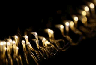 project-image