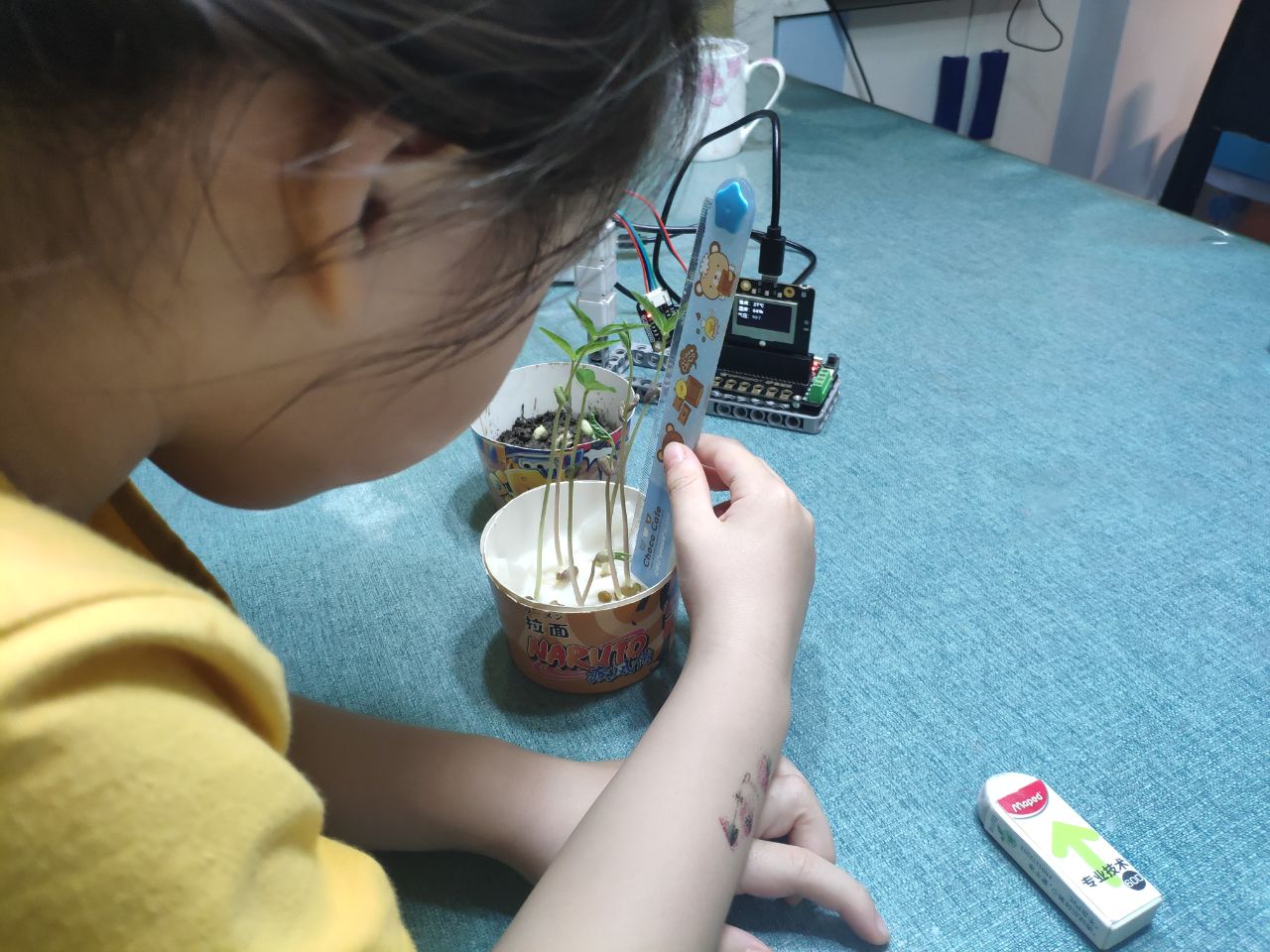 project-image