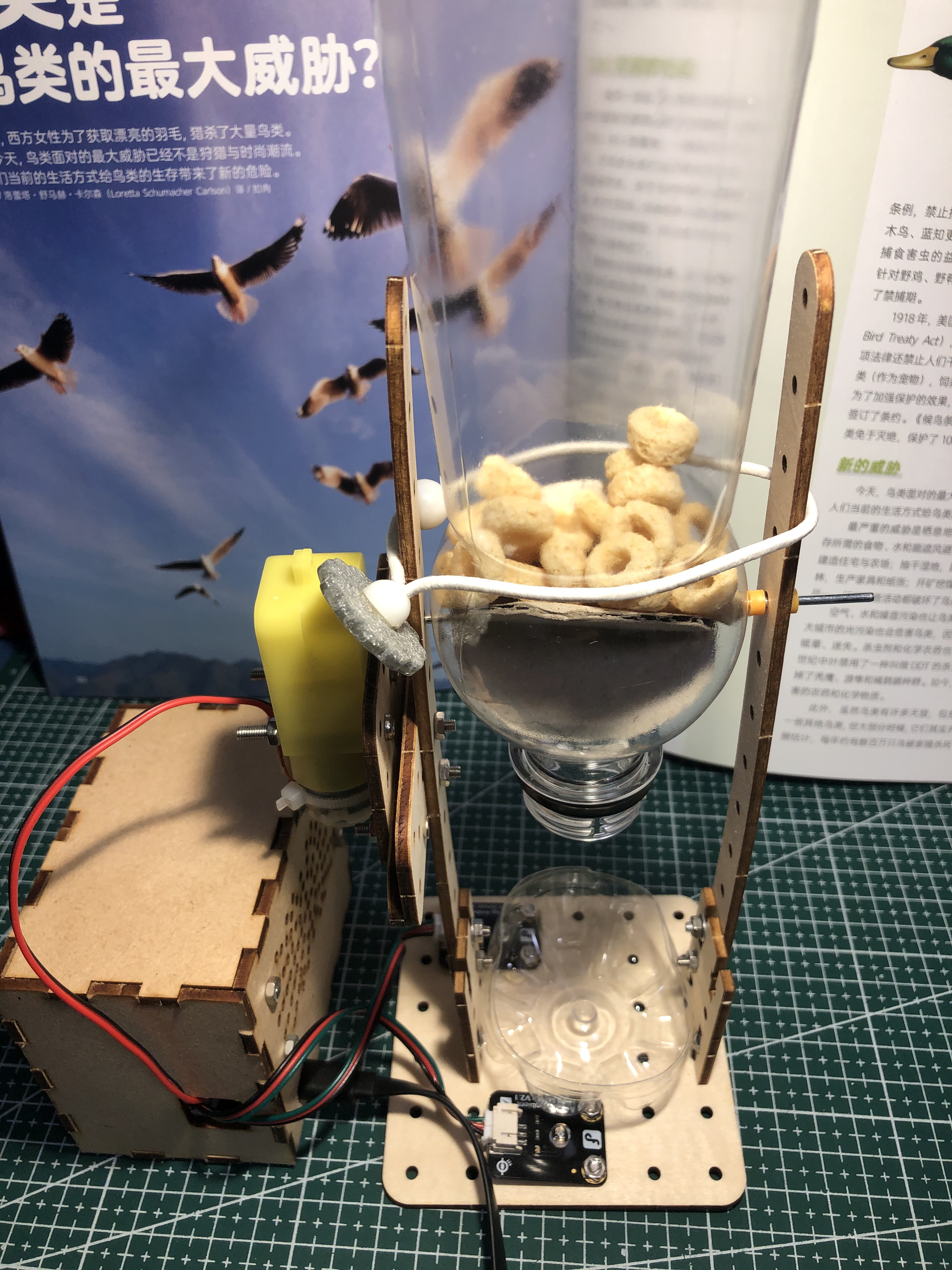 project-image