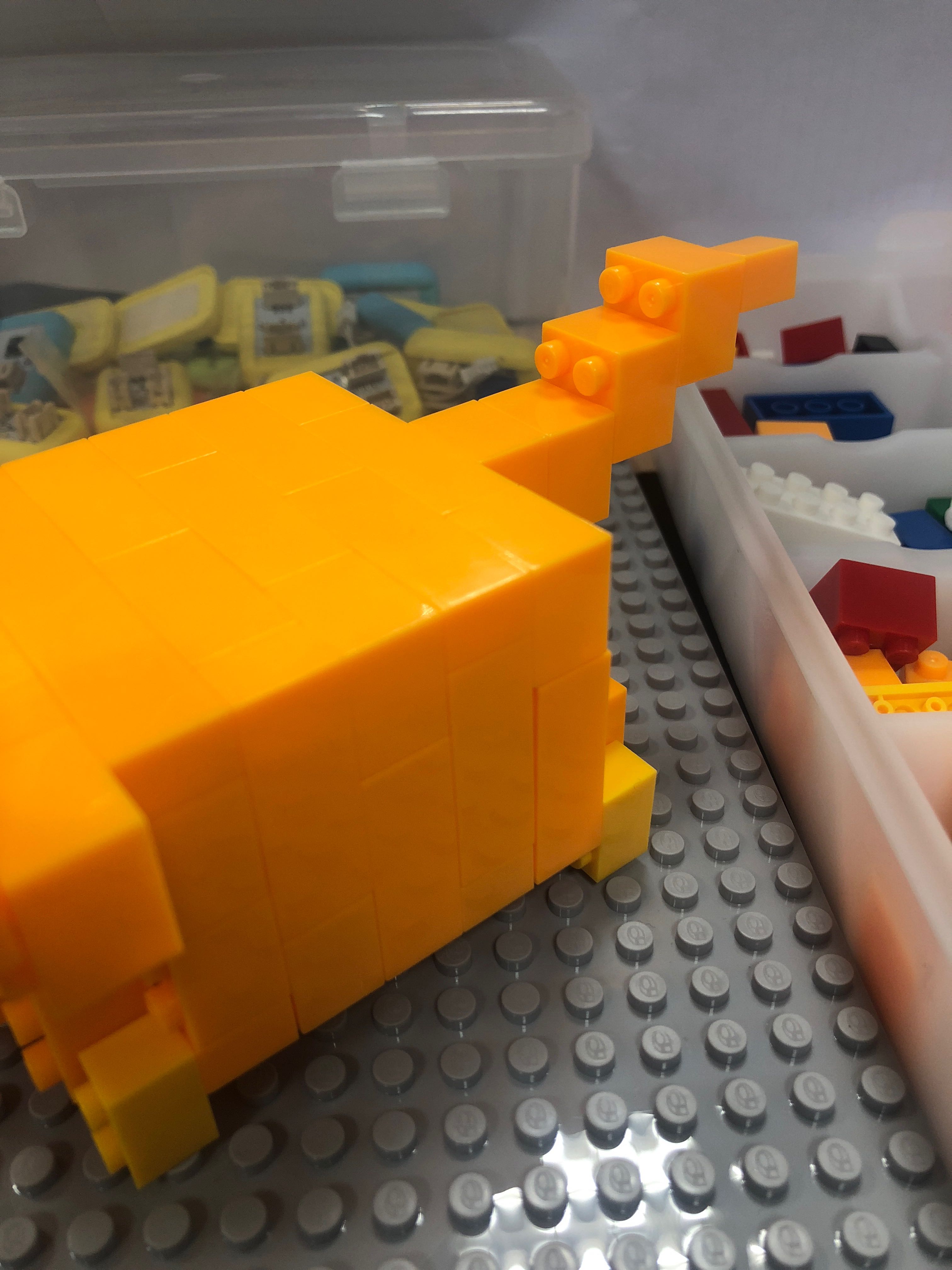 project-image
