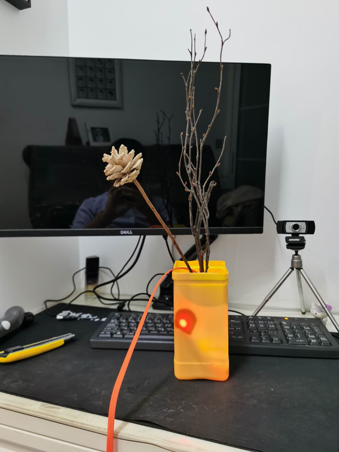 project-image