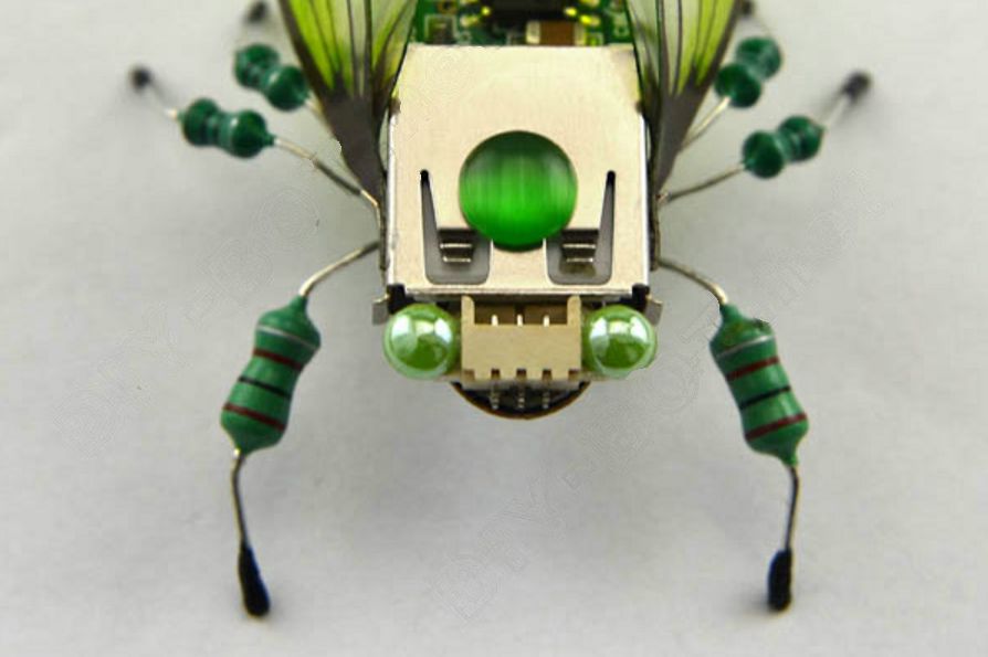 project-image