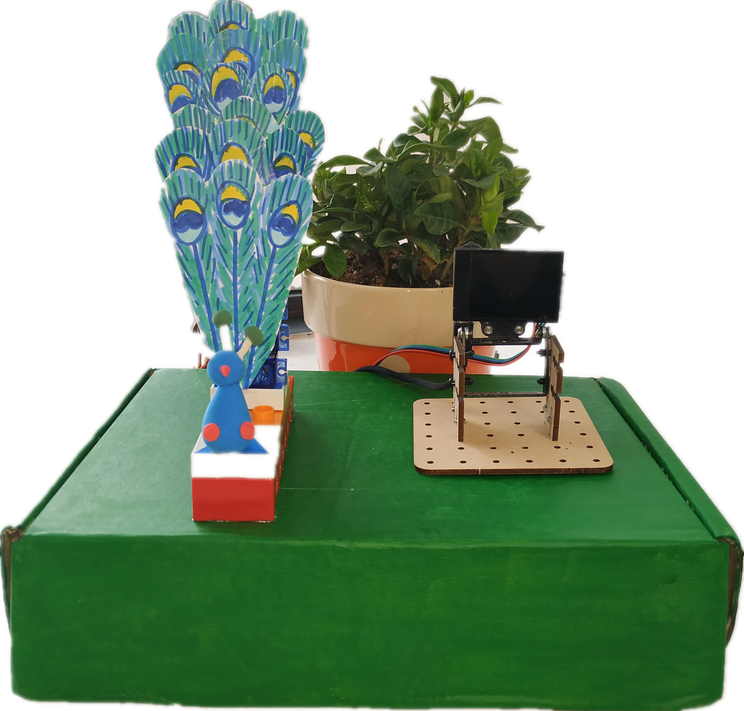 project-image