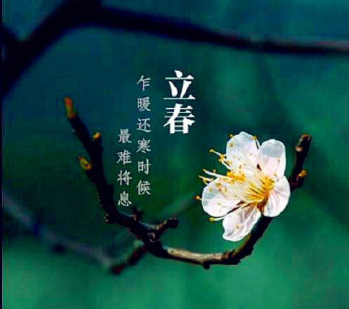 project-image