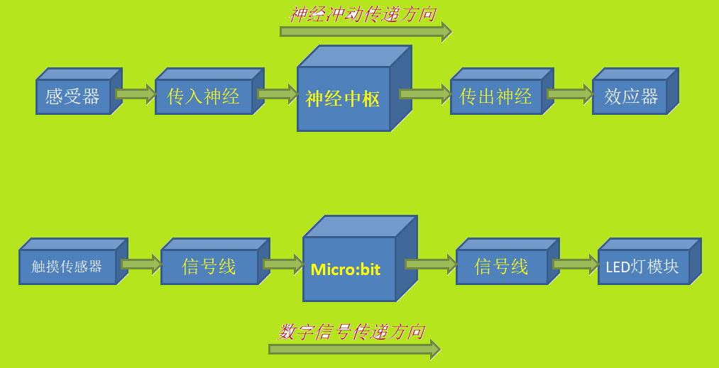 project-image