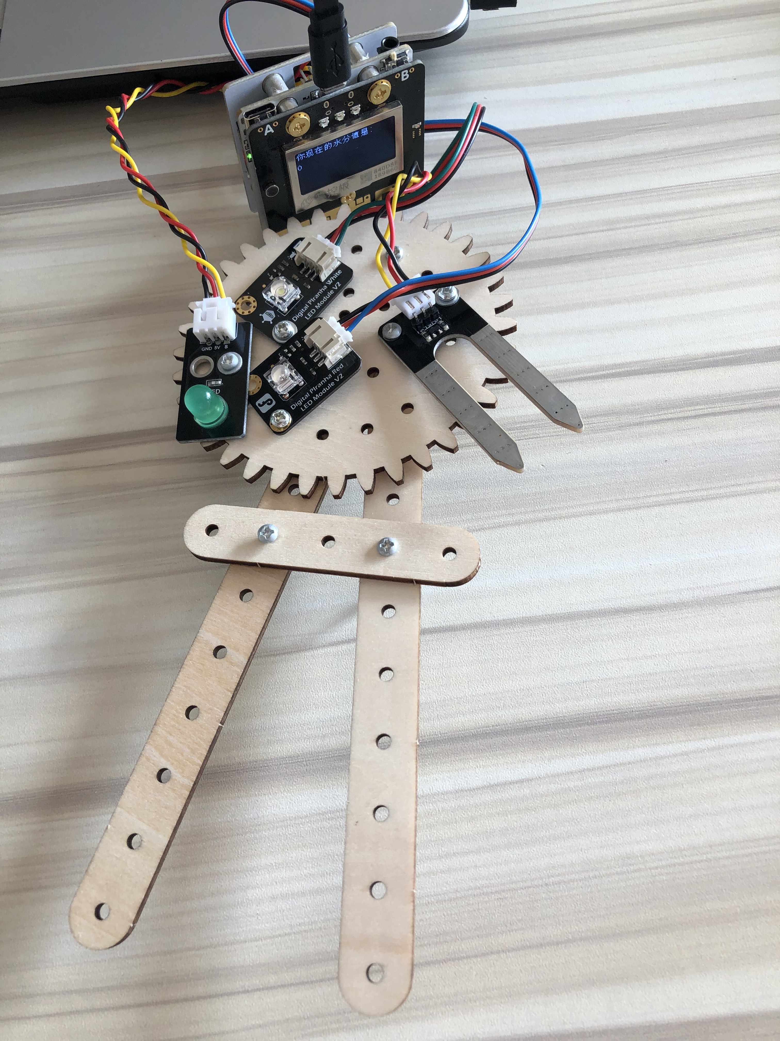project-image