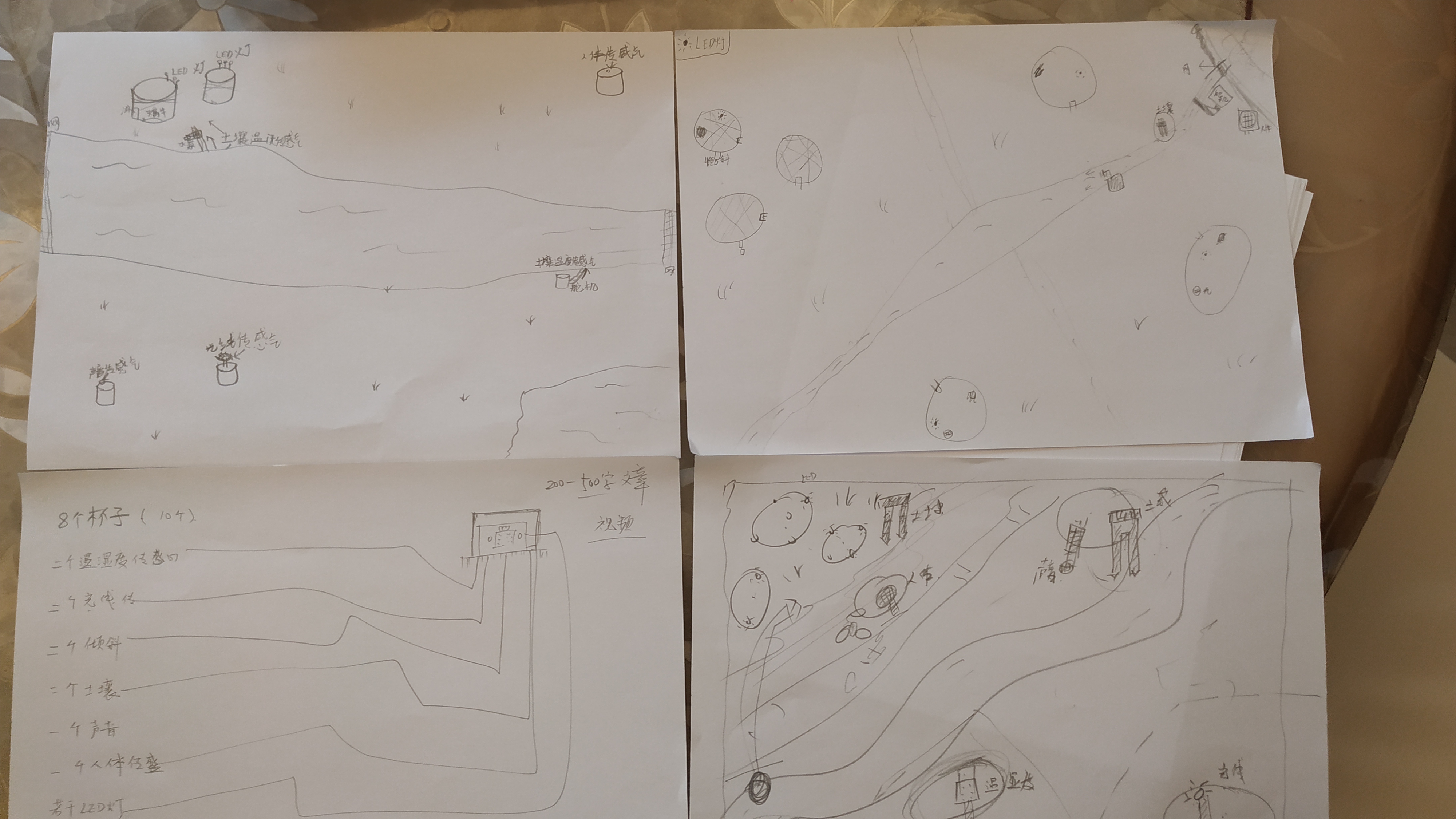 project-image