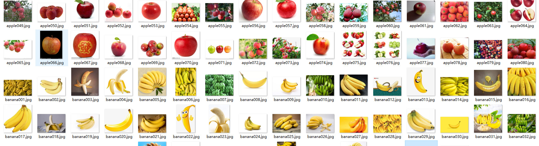 project-image
