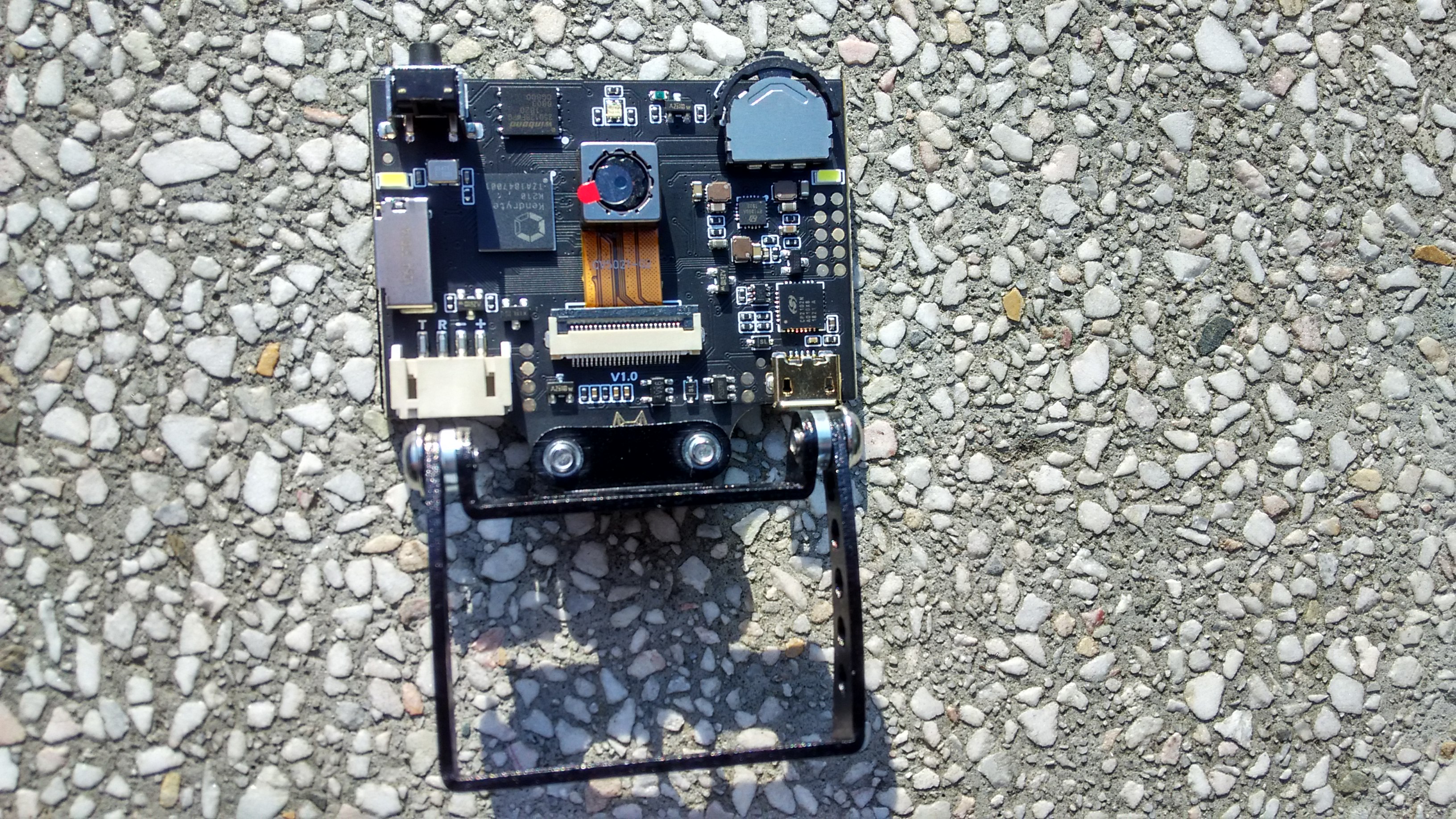 家有二哈我与二哈的不解之缘