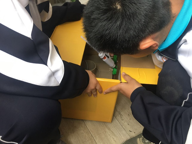project-image