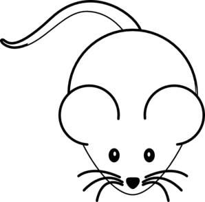 project-image