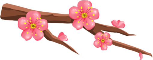 project-image