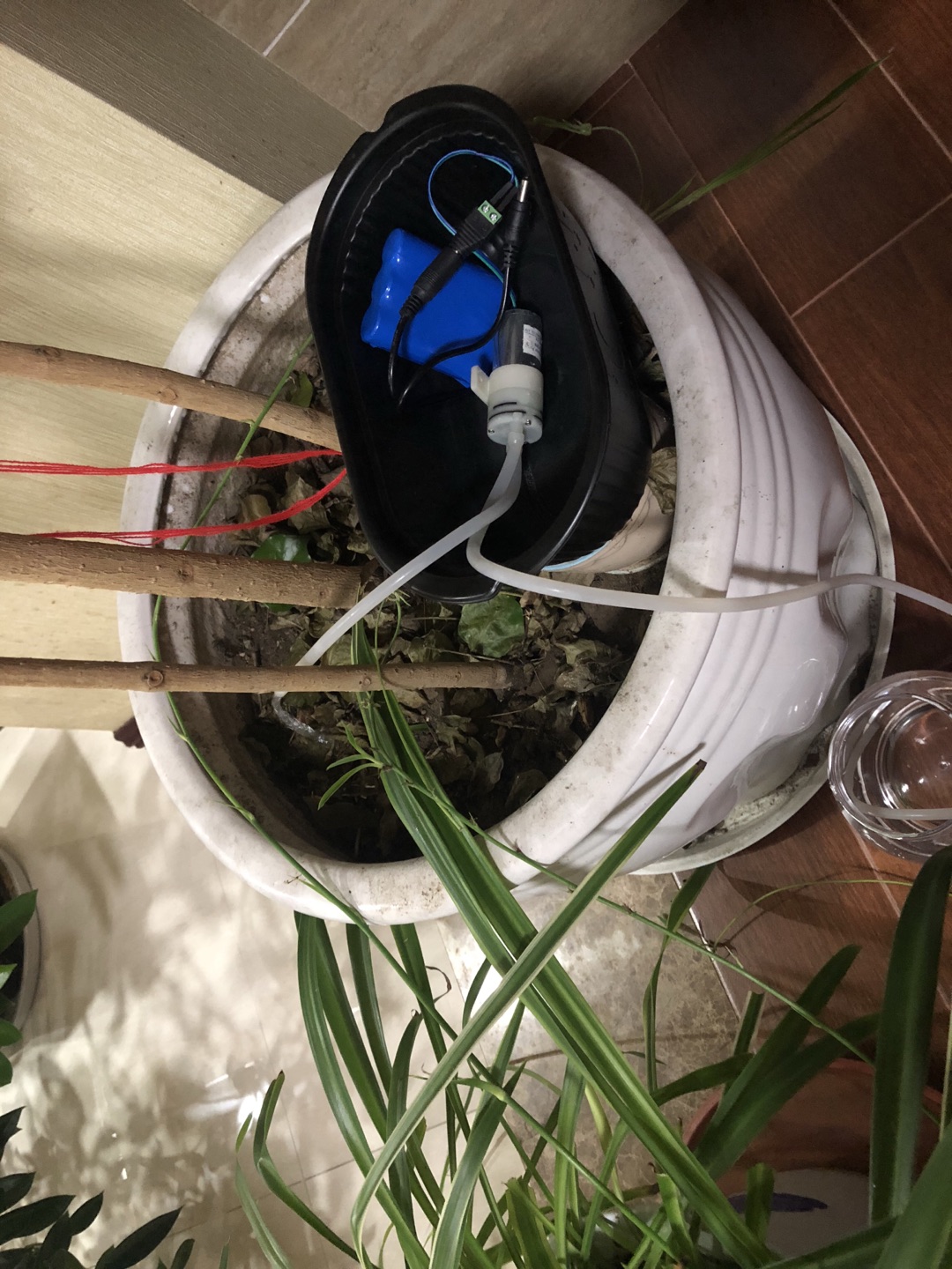 project-image