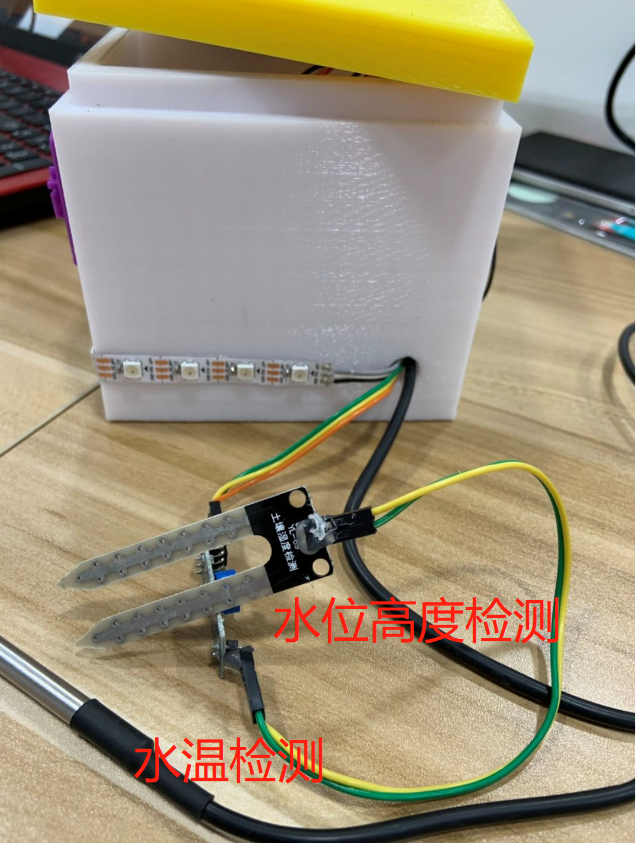 project-image