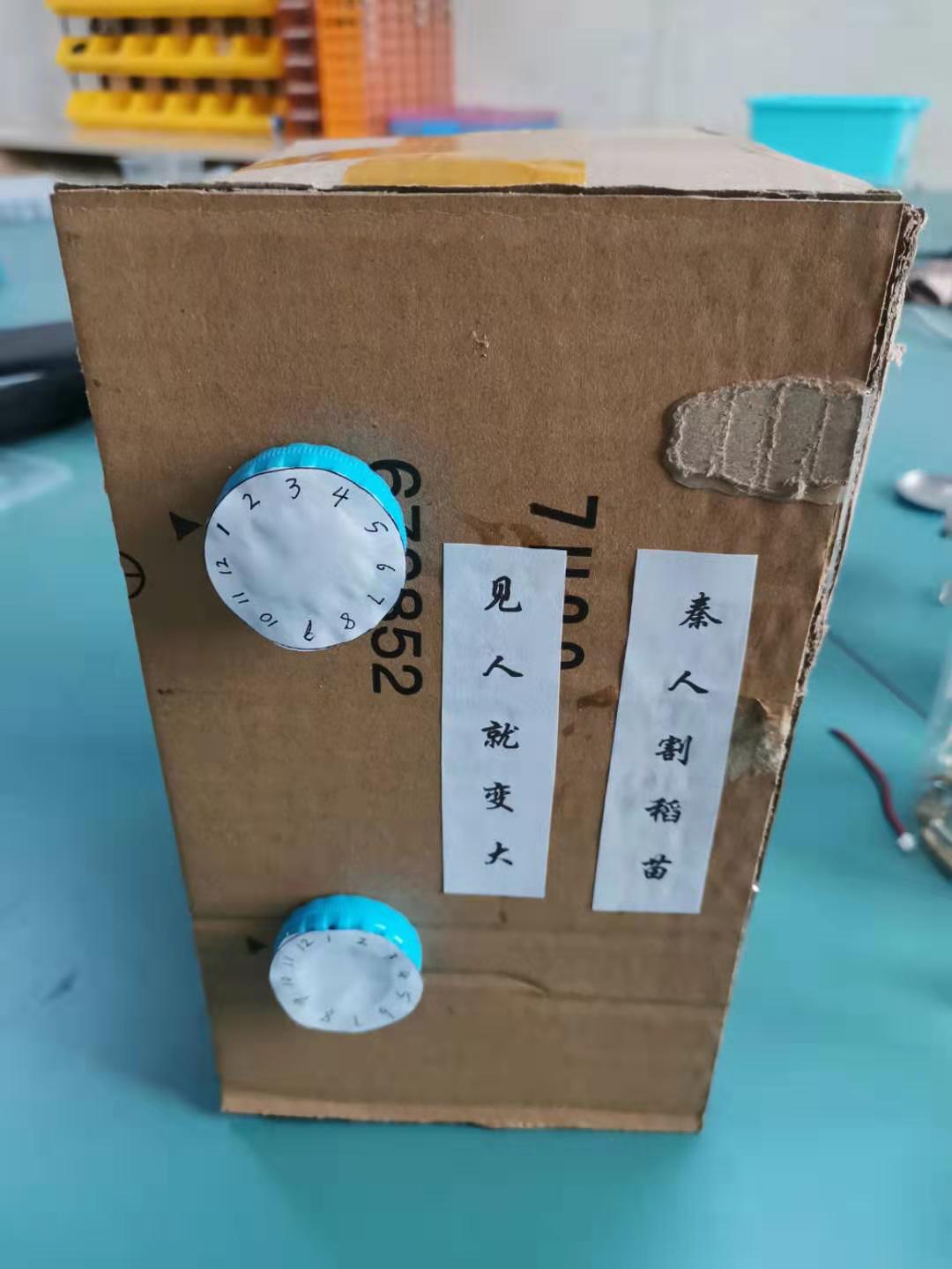 project-image