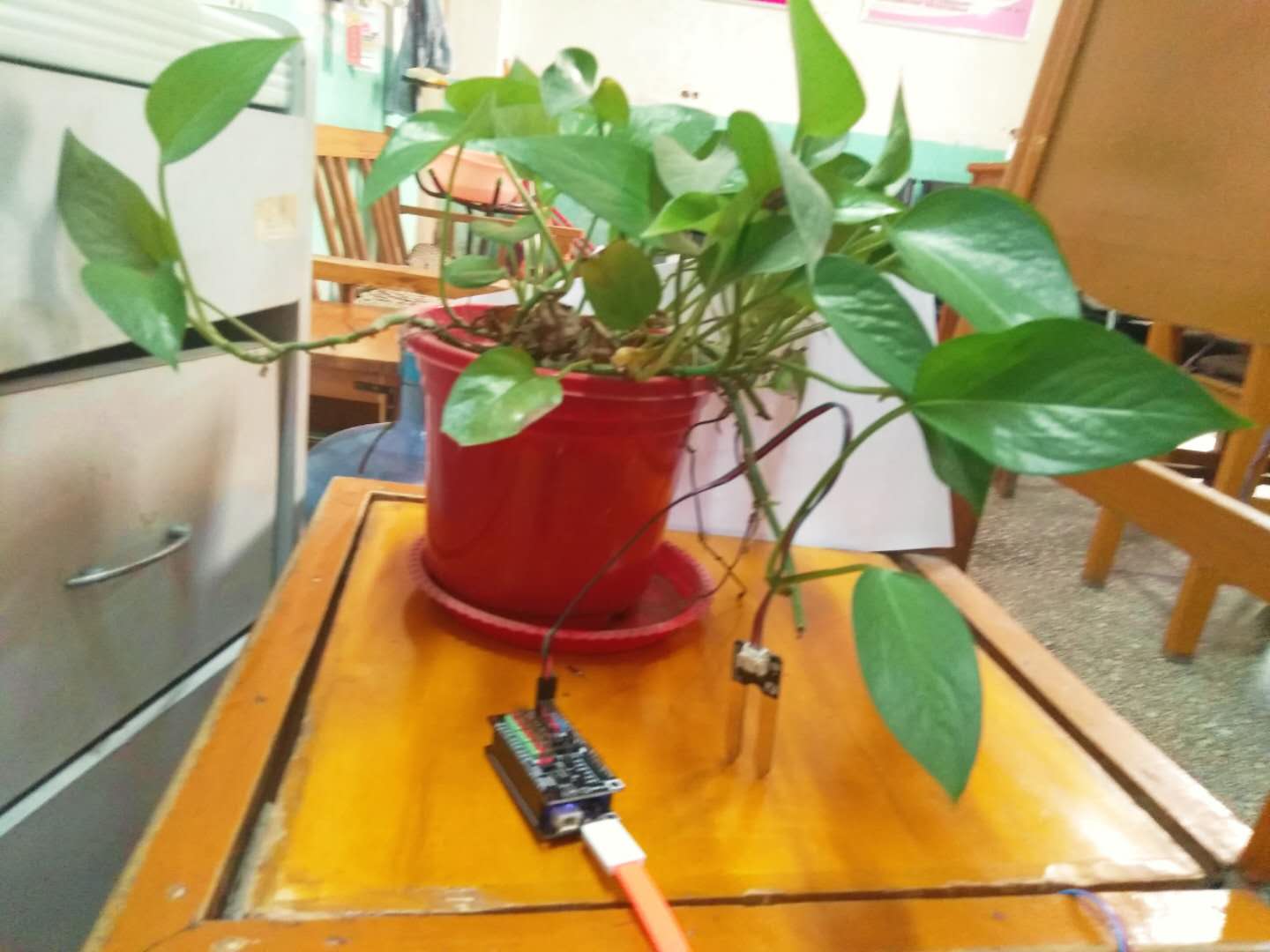 project-image