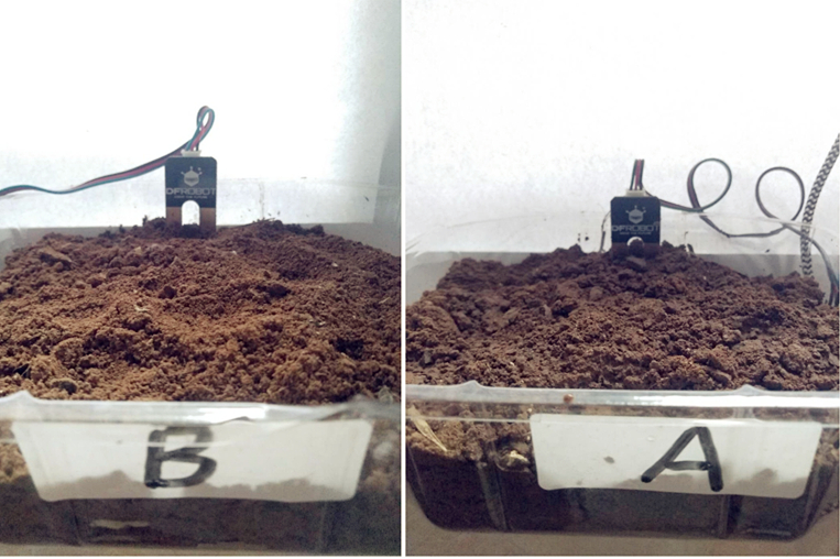 project-image
