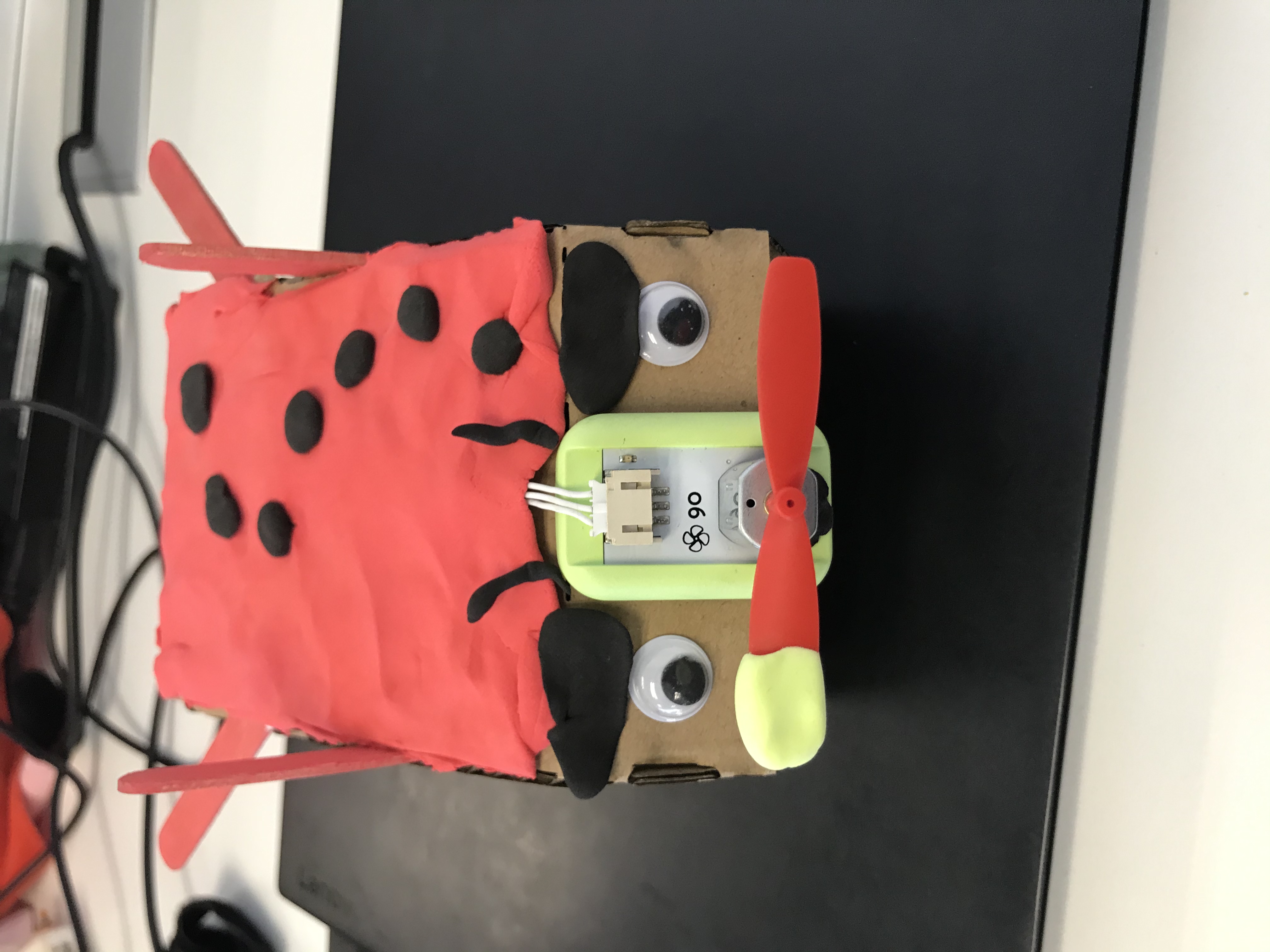 project-image