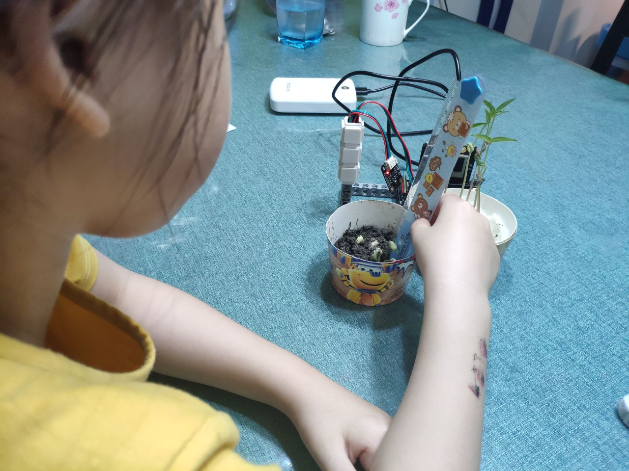 project-image