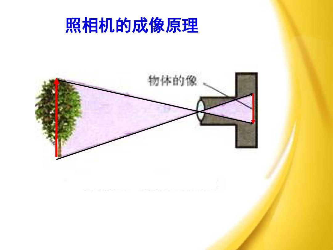project-image