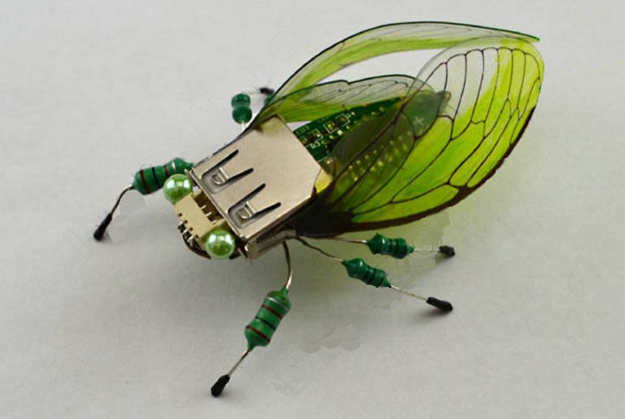 project-image