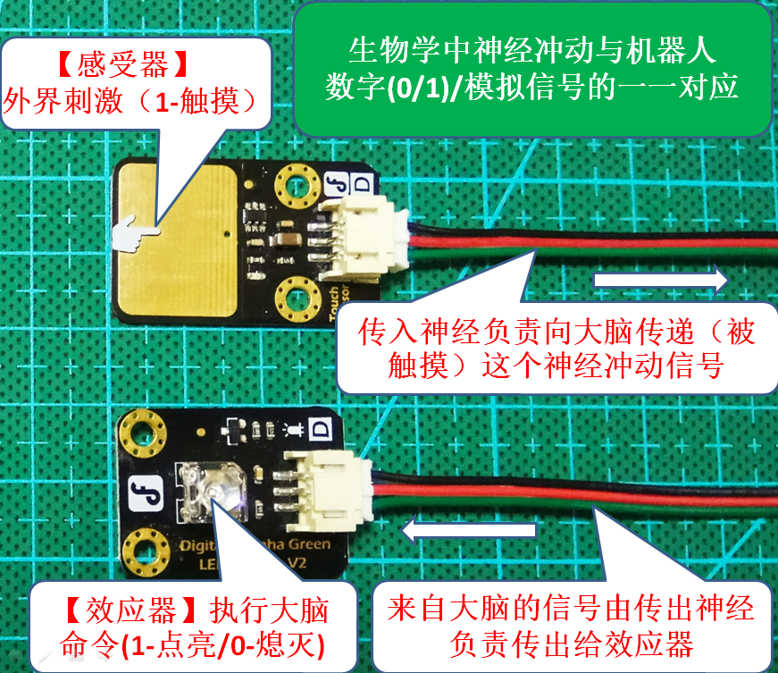 project-image