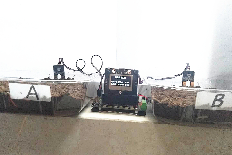 project-image