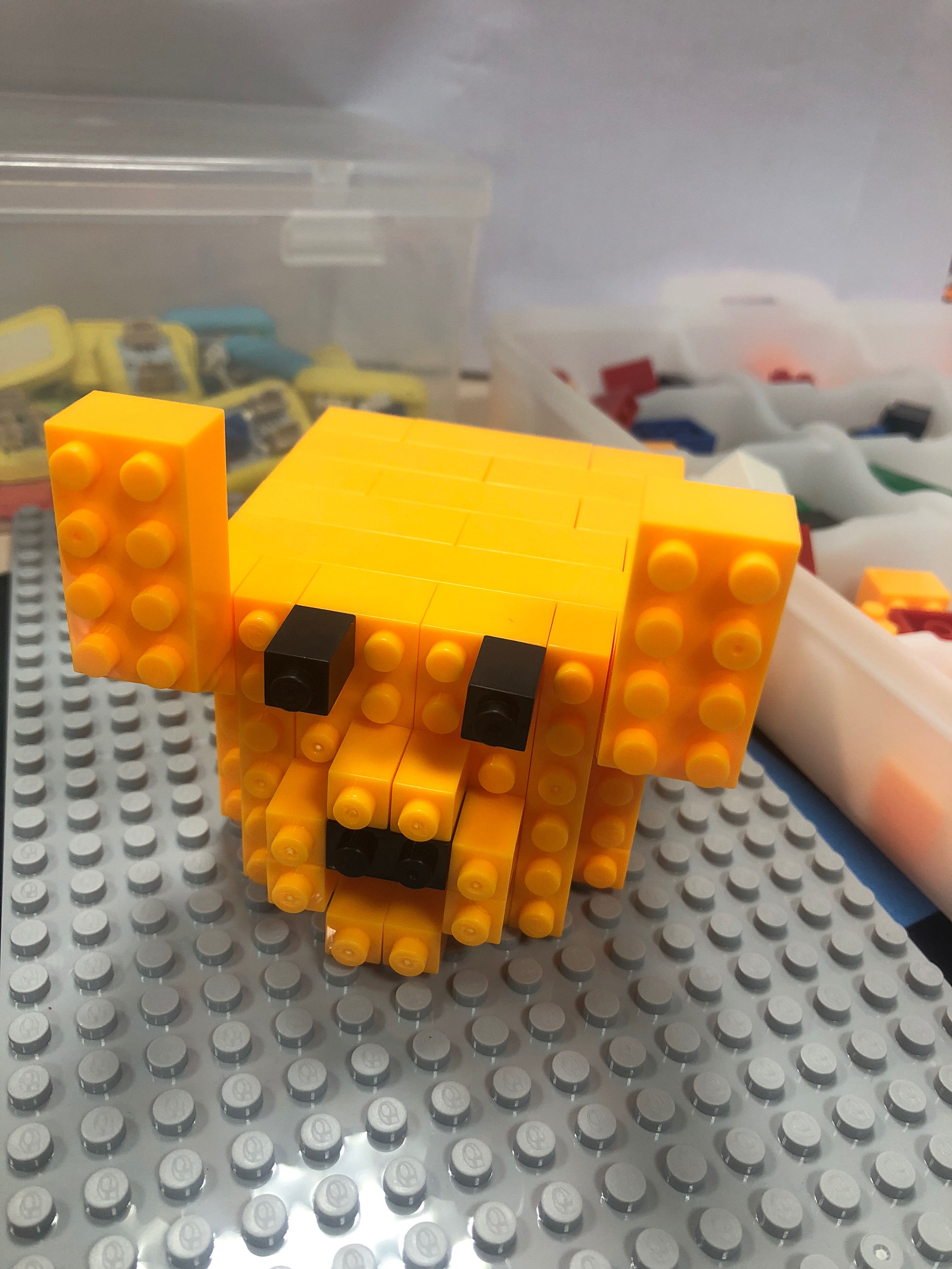 project-image