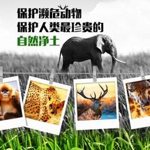 创客主题环境：#线上创客马拉松挑战赛#濒危动物保护计划