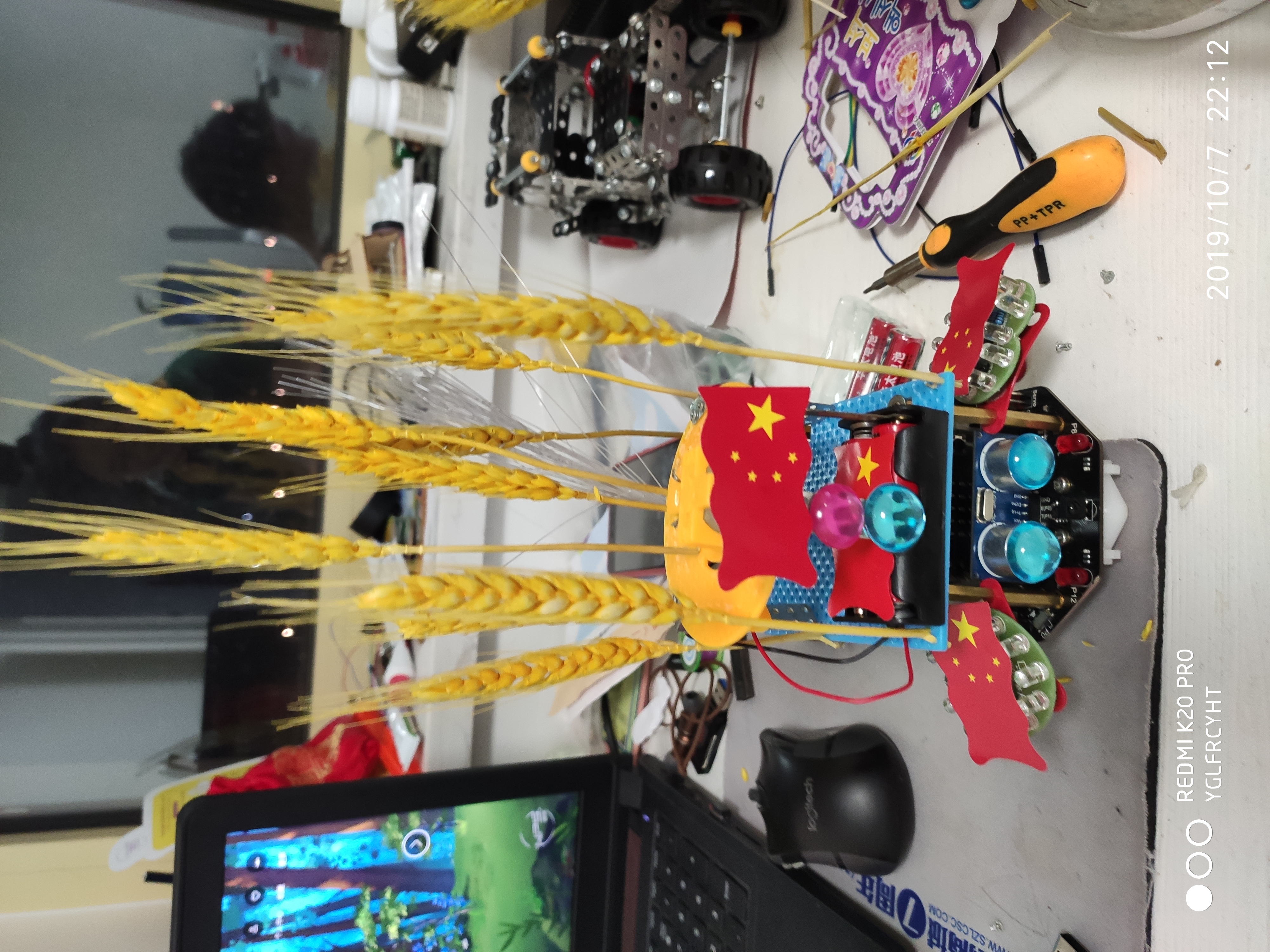 project-image
