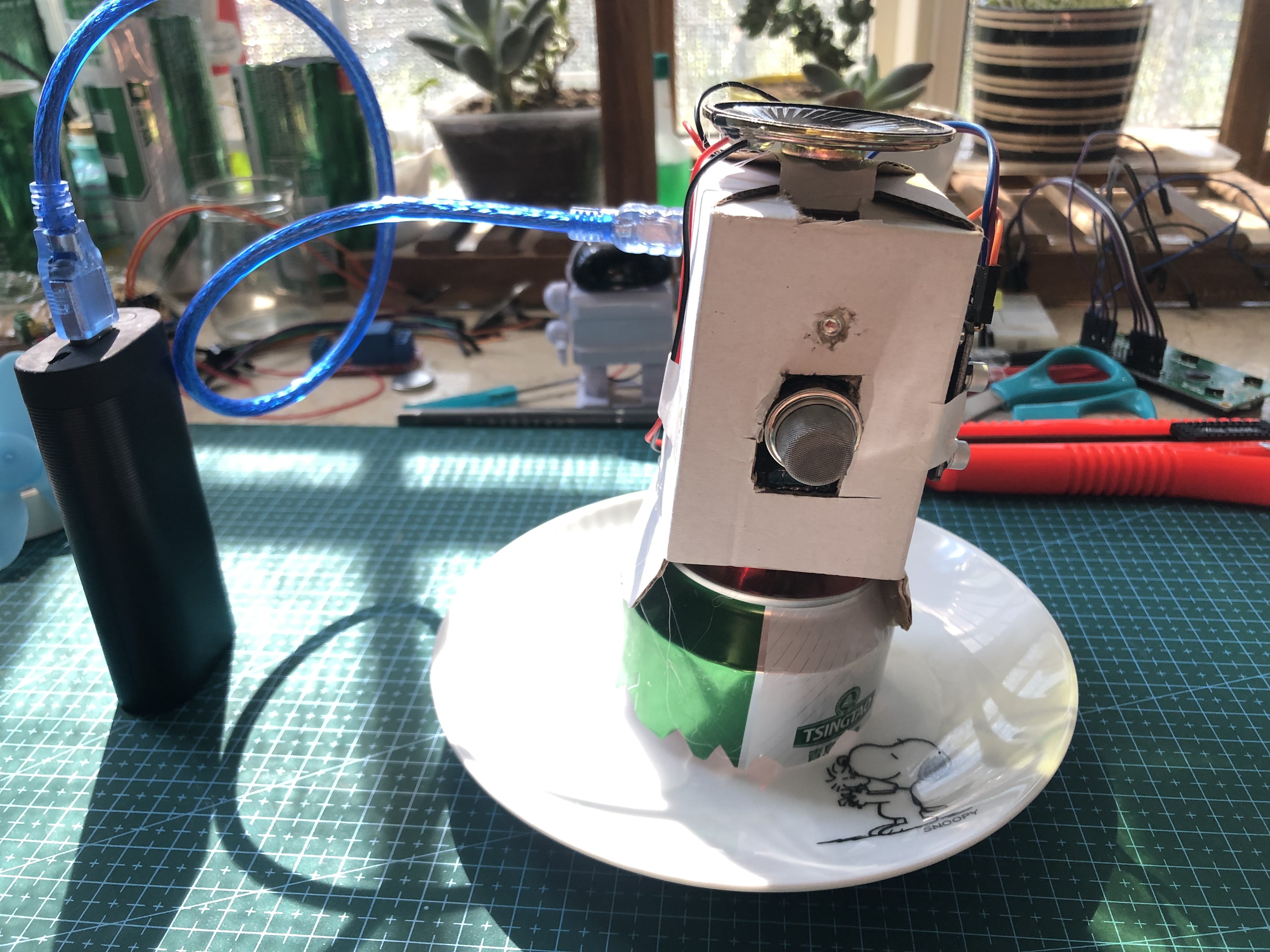 project-image