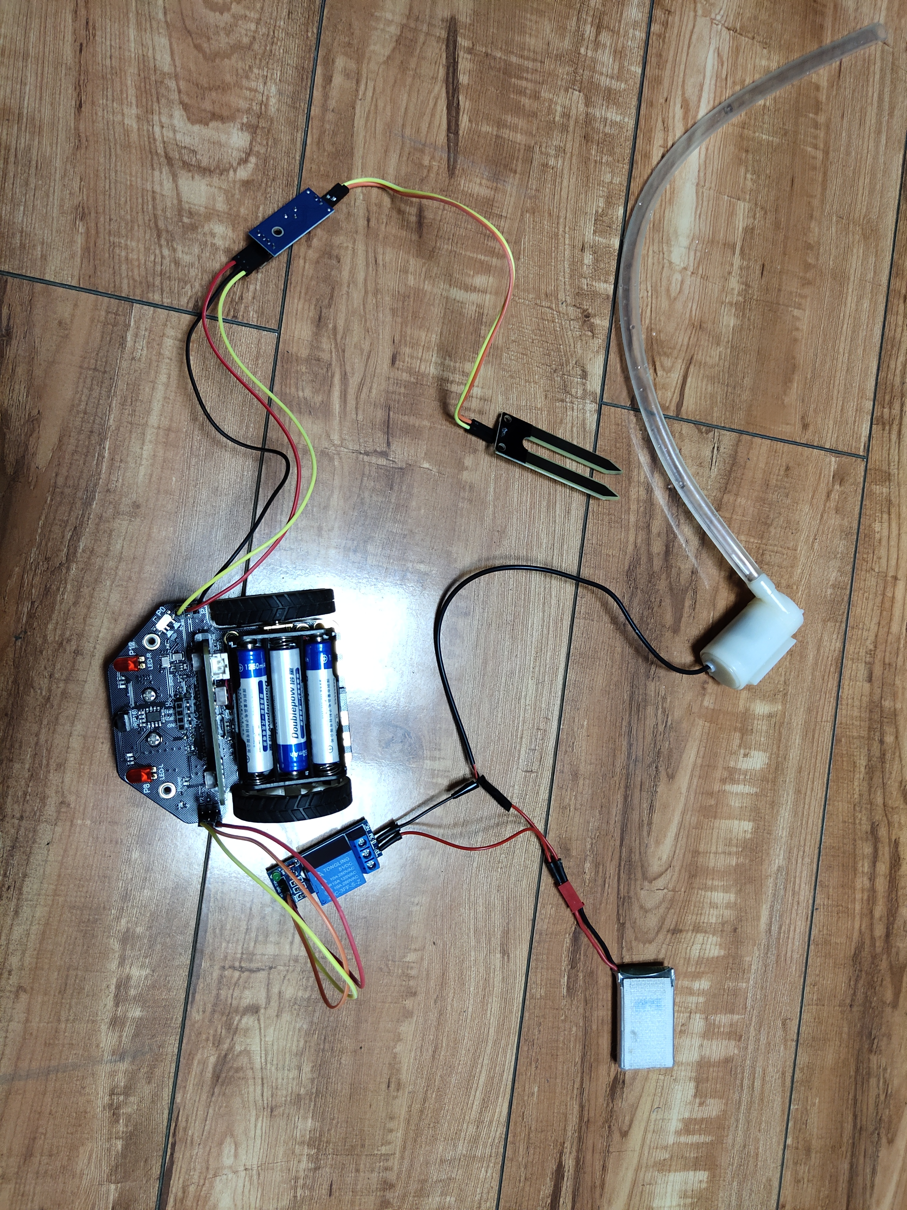 project-image