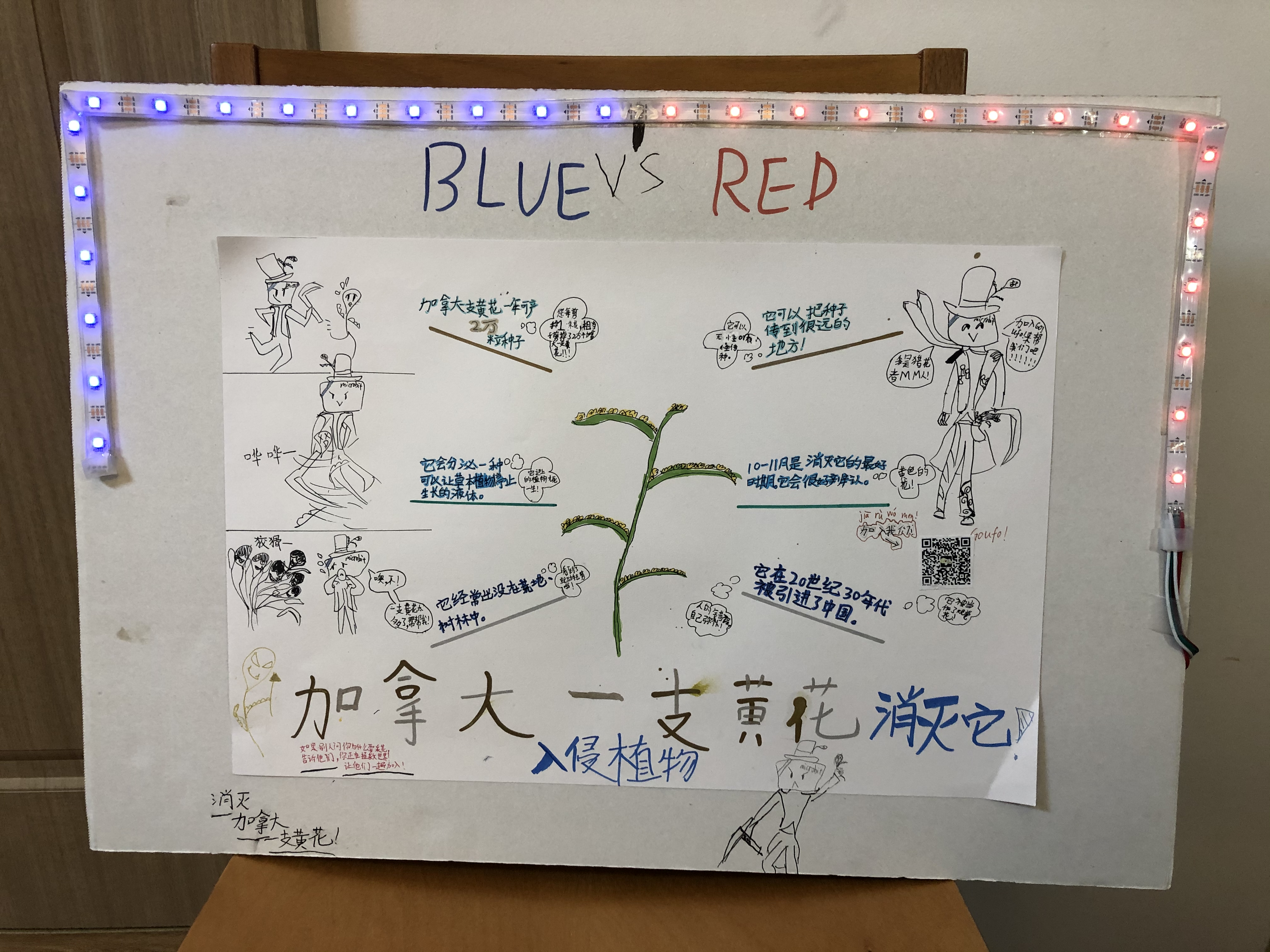 project-image