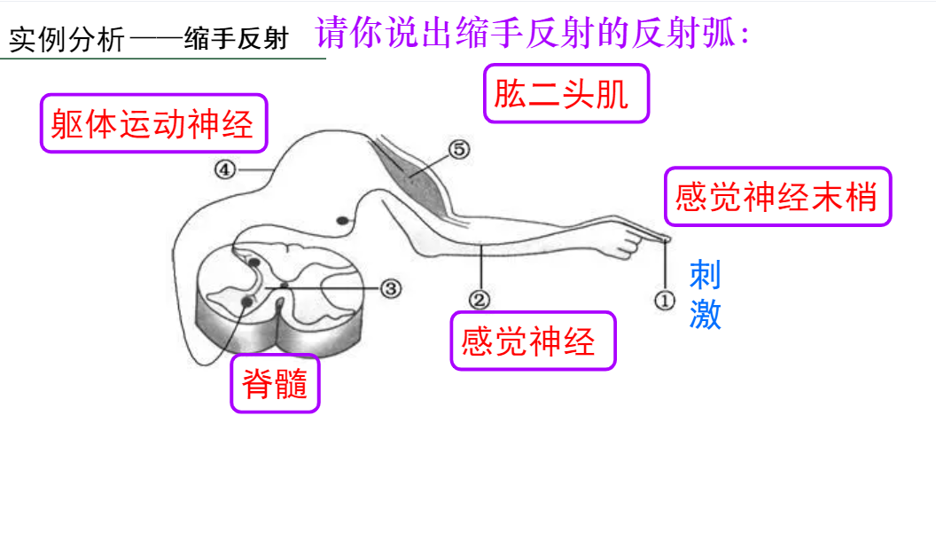 c5de1597b8f4f2a422d2a26be4fb036.png