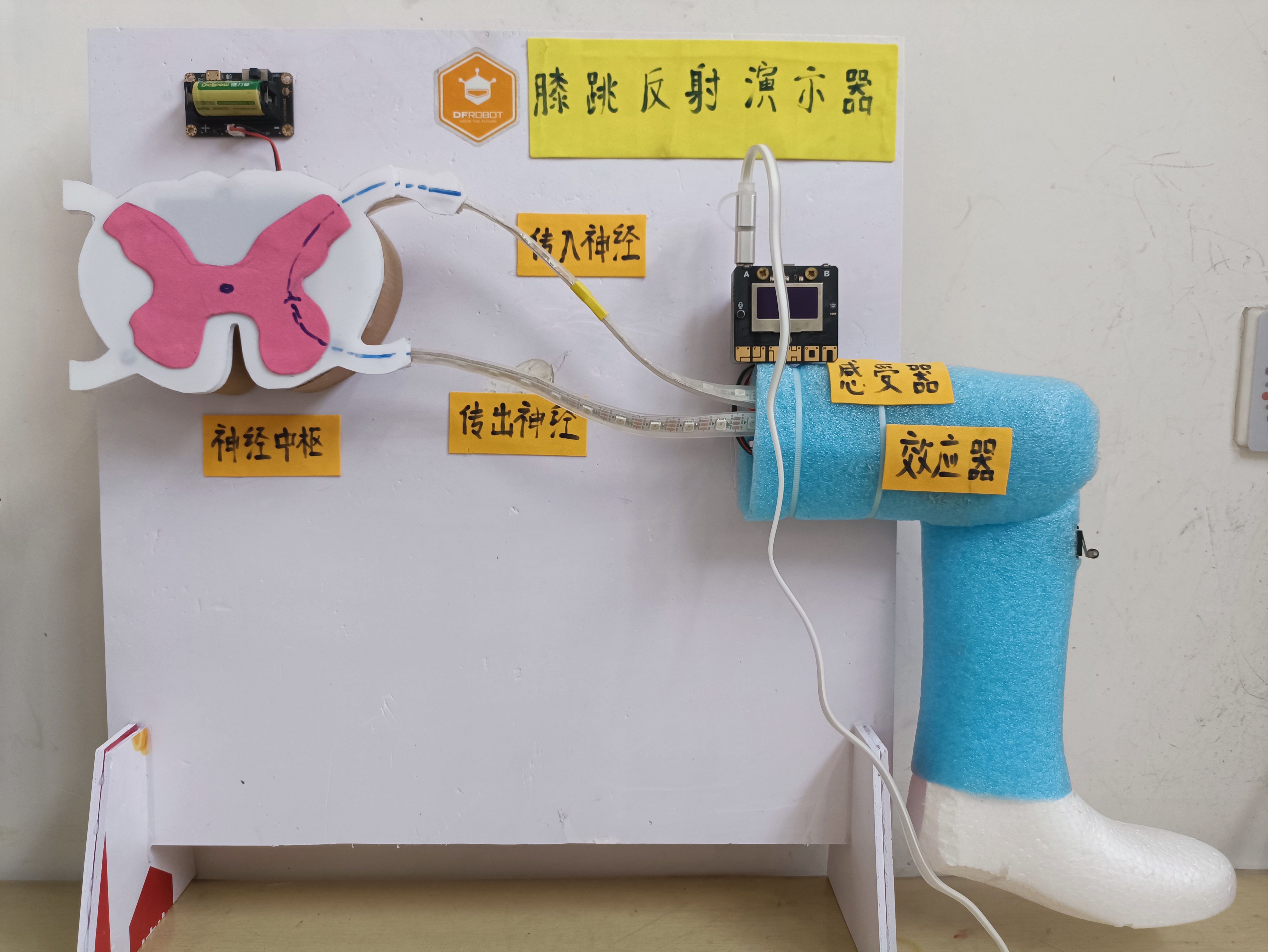 811385a946c2f003ad0e6670ceae1d4.jpg