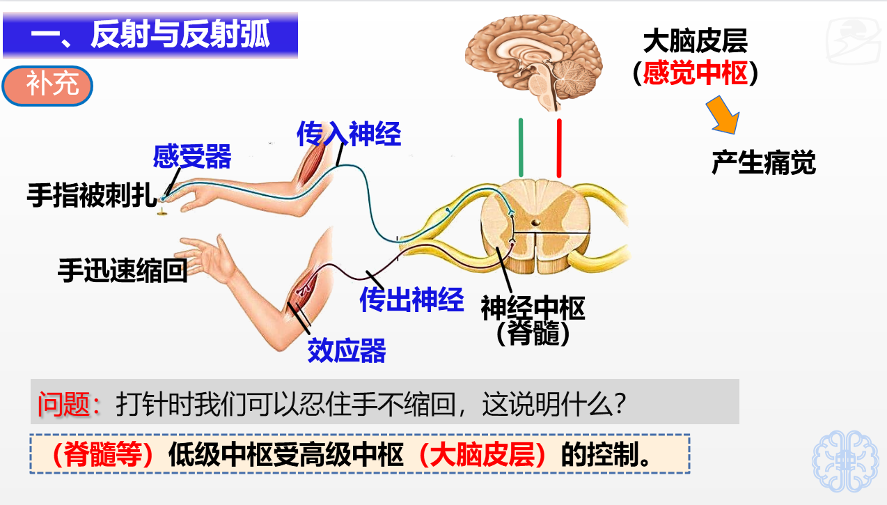 5491417567b0a850590ea095699e404.png