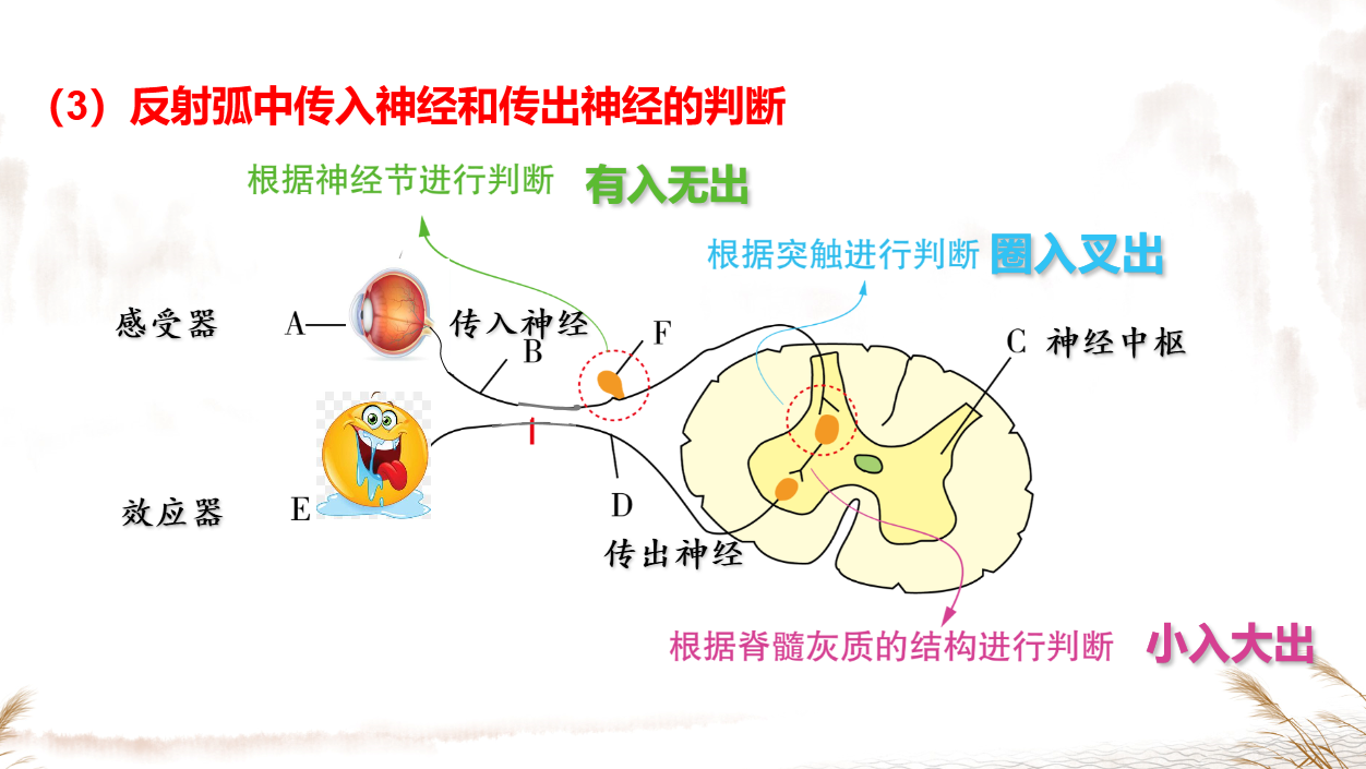 1a2b404fcd678581dd6c12c9d4a6f57.png