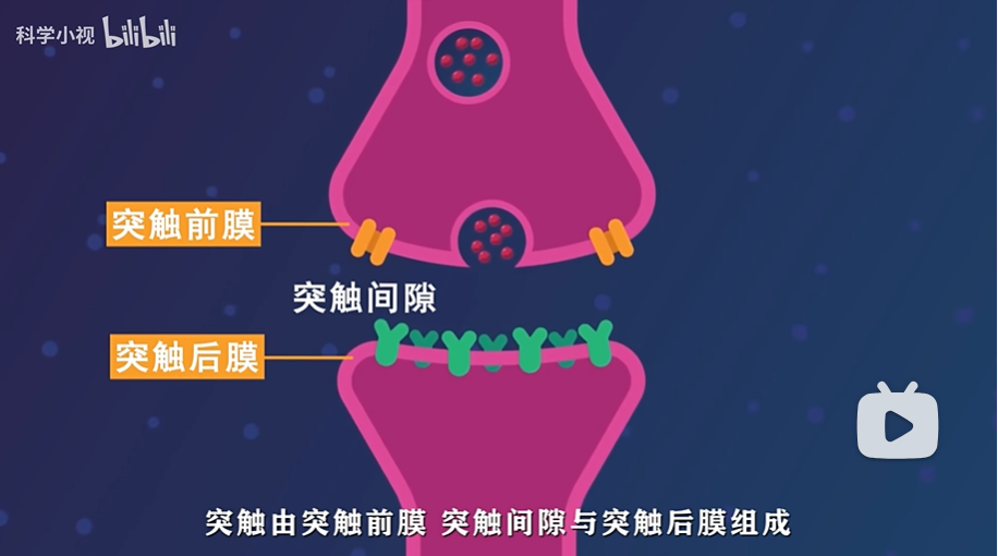 d681394de7c1ee4404b58c97f0e7f56.png