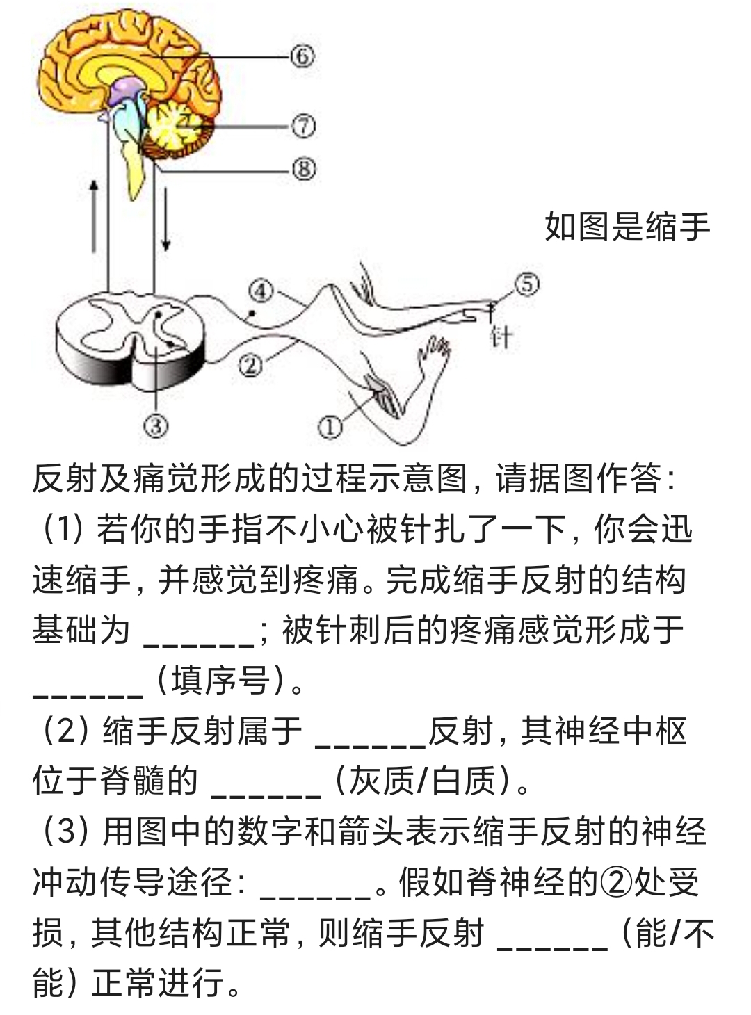 50dbdcf99a3441282417454e7fc7c47.jpg